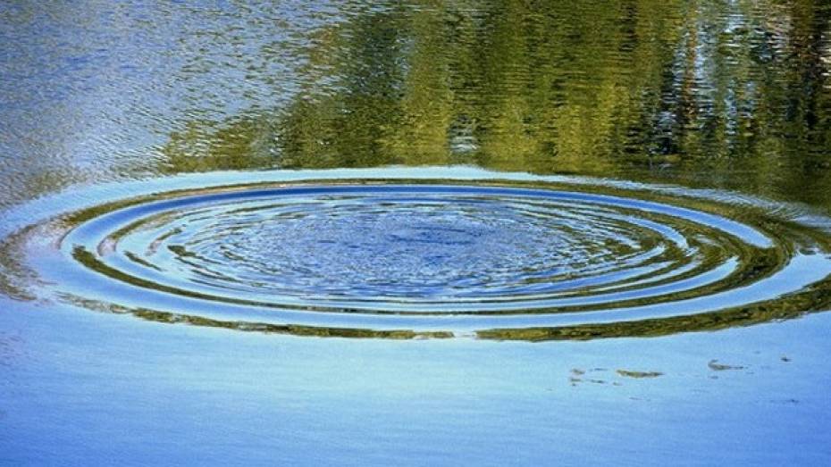 В Нижнедевицком районе в пруду обнаружили труп мужчины