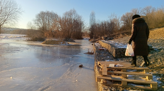 В Павловске уровень воды в реке Дон поднялся на 1,5 м выше нулевой отметки