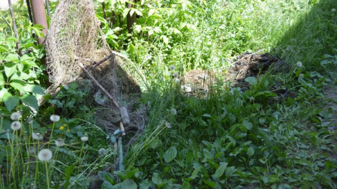 В Острогожском районе из Тихой Сосны извлекли семь браконьерских сетей