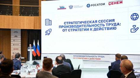 В Воронежской области запустят отраслевые программы повышения производительности труда