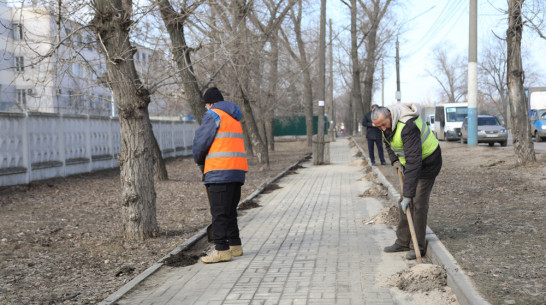 Общегородской субботник пройдет в Воронеже 20 апреля