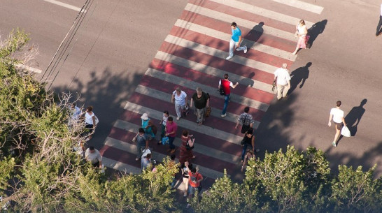 Воронежский блогер пересчитает пешеходов ради сохранения двух переходов