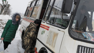 О закрытии компании-перевозчика заявили в Воронеже