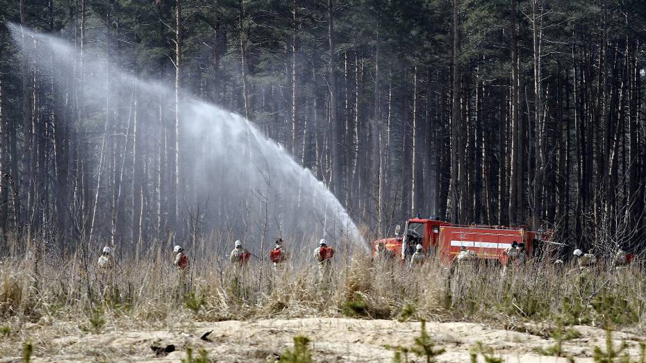 Максимальный уровень пожароопасности сохранился в 9 районах Воронежской области