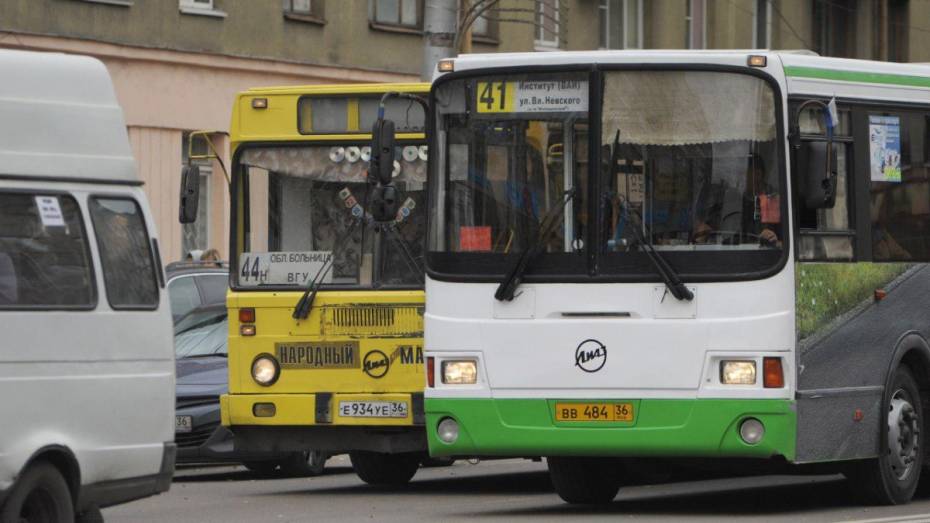 «Народные» автобусы отправятся на коммерческие маршруты в Воронеже