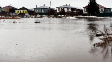 Из-за паводка в Воронежской области затопило 21 мост