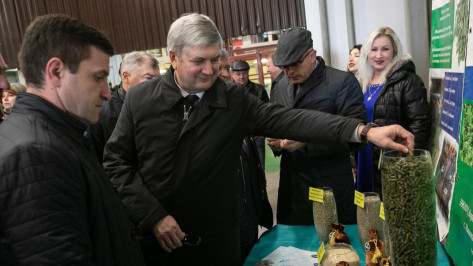 Глава Воронежской области посетил завод по производству концентрата из люцерны