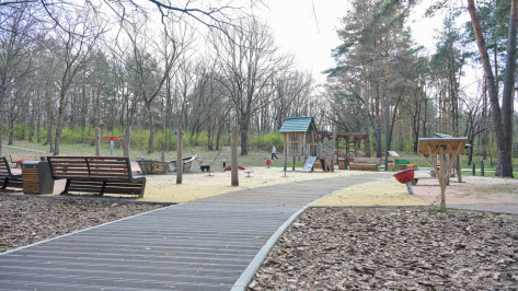 Александр Гусев: у воронежцев осталось чуть больше недели, чтобы выбрать территории для благоустройства в 2026 году