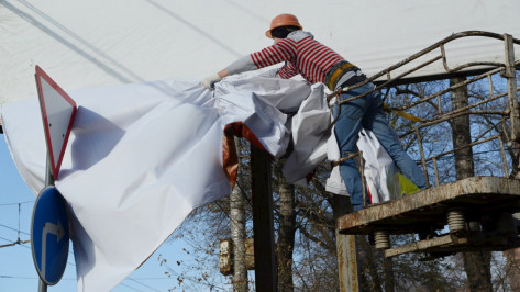 Владельцы рекламных конструкций в Воронеже получат отсрочку от штрафов и пеней