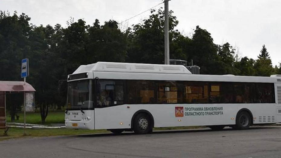 В Кантемировке в третий день выборов проезд в общественном транспорте будет бесплатным