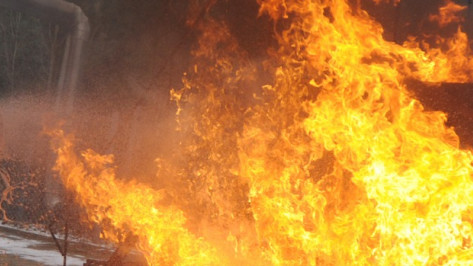 В Воронежской области за минувшие сутки на пожарах погибли два человека 