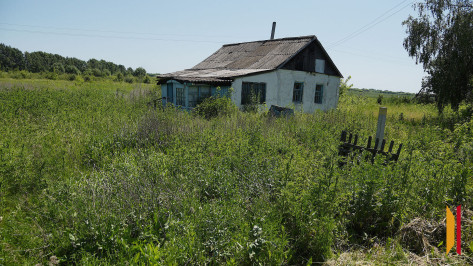 Сорняки и мусор: какой участок у воронежцев могут признать неосвоенным и изъять