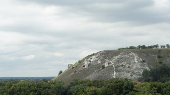 Под Воронежем откроется выставка об эволюции жизни на Земле 