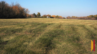 В Воронежской области ускорили инвентаризацию земельных участков