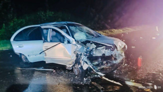 Машины всмятку: смертельная авария произошла на трассе в Воронежской области