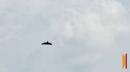 В Воронежской области в результате атаки БПЛА загорелась крыша жилого дома