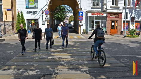 Воронежская область присоединилась ко Всероссийской акции «Продвижение безопасности»