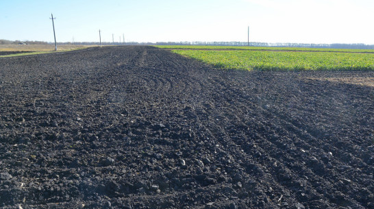 Специалисты воронежского «Продимекса» спрогнозировали непростой агросезон из-за теплой зимы