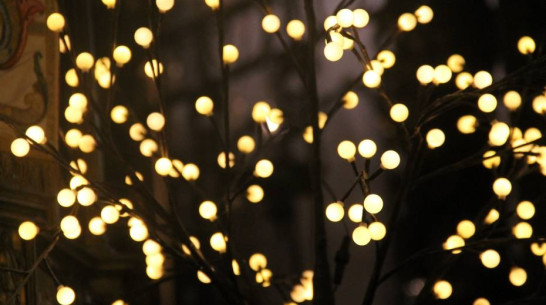 Воронежцам рассказали, какой должна быть безопасная новогодняя гирлянда