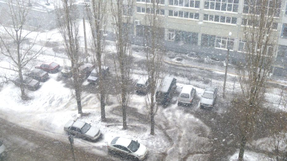 В Воронеже пошел первый снег этой весны