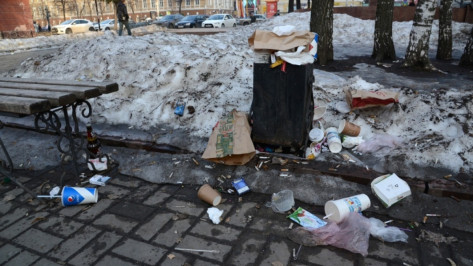 Глава Воронежа поручил чаще убирать мусор в местах массовых гуляний