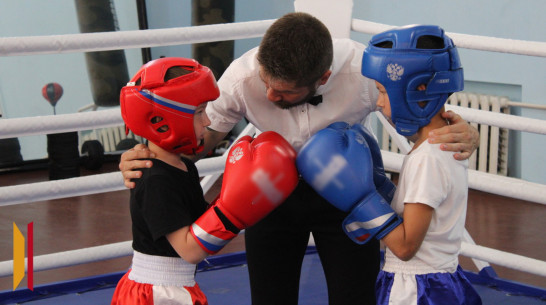 Верхнемамонцы взяли 2 «золота» на открытом домашнем турнире по кикбоксингу