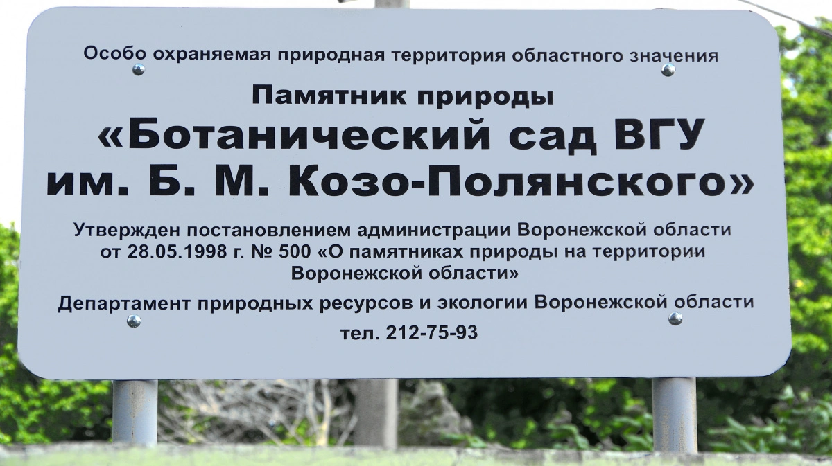 Особо охраняемые природные территории памятники природы. Памятники природы Воронежской области. Аншлаг памятник природы. Памятники природы особо охраняемые территории. Особо охраняемых природных территорий Воронежской области.