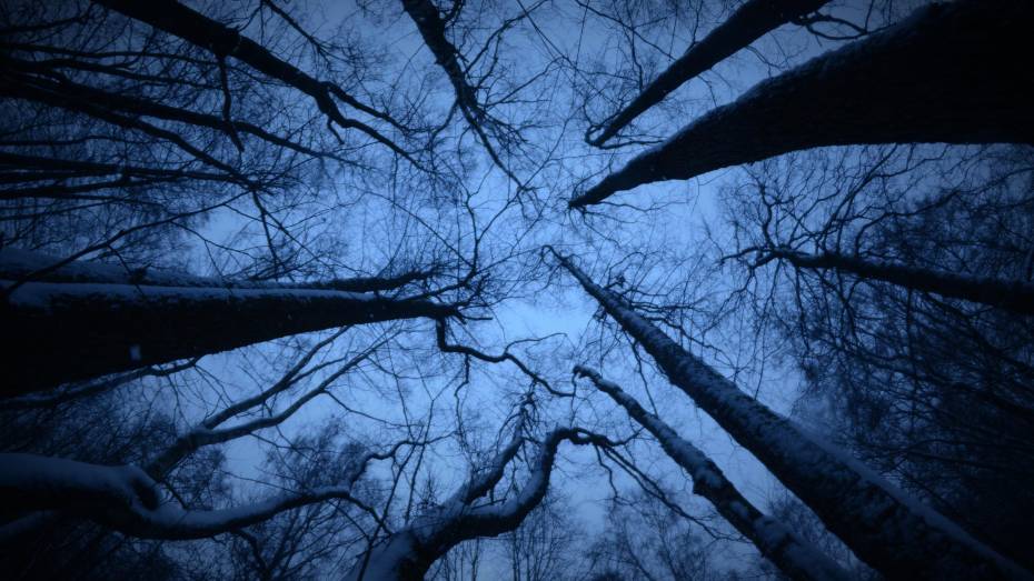 В Воронежской области пропавшую 18-летнюю самбистку из Ямного нашли мертвой