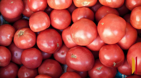 В Воронежской области резко подорожали помидоры и огурцы