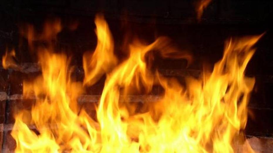 20-летняя жительница Эртильского района сожгла стог соломы, принадлежащий ее крестной матери