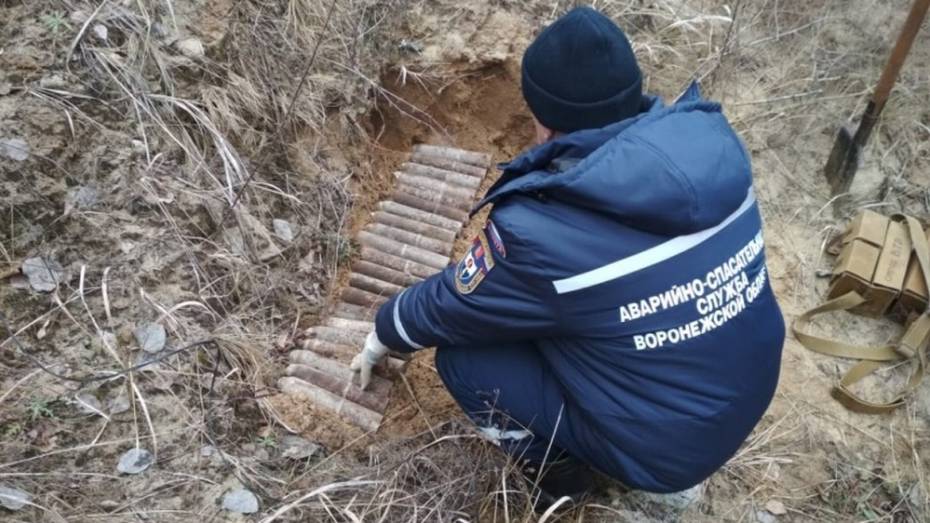 В овраге около павловского села Александровка Донская охотник нашел 21 снаряд времен ВОВ