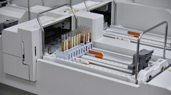 Пятый день подряд Воронежская область попала в топ-5 по стране по приросту больных COVID-19