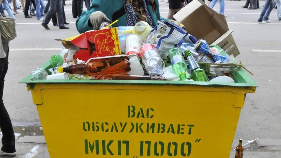 Все районы Воронежа получат контейнеры для раздельного сбора ТБО до конца 2021 года