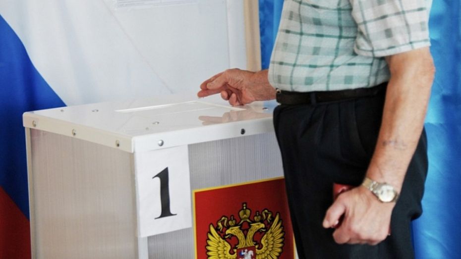 Более 600 избирателей позвонили на горячую линию по выборам в Воронежской области