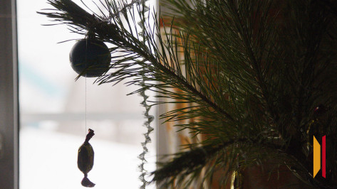 Воронежцам рассказали, как утилизировать елку после новогодних праздников