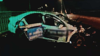 В Верхнем Мамоне при столкновении легкового автомобиля и фуры пострадали две девушки