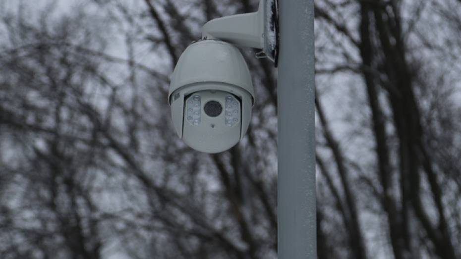 В воронежских парках и скверах заработали камеры видеонаблюдения