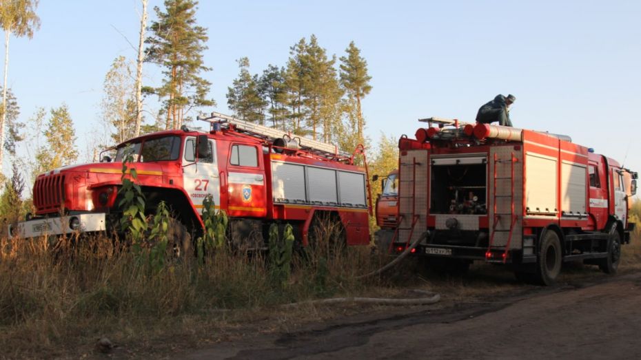 Ландшафтный пожар подобрался к 2 дачным поселкам под Воронежем