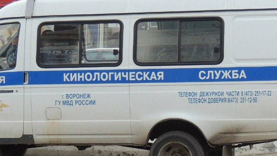 Пьяный воронежец сообщил о бомбе в многоэтажке на улице Артамонова