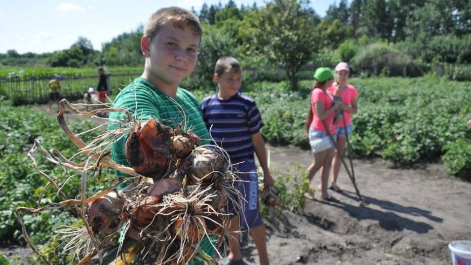 В павловском селе Воронцовка в школе откроют агрокласс