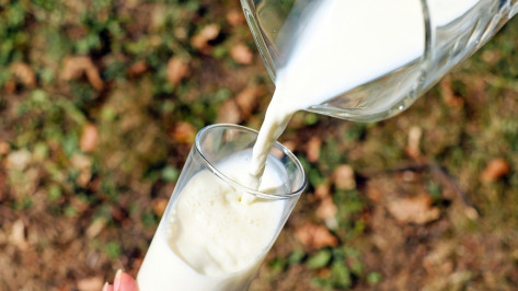 Более 385 тыс тонн молока произвели в Воронежской области с начала года
