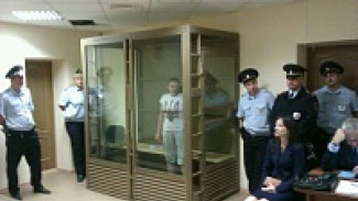 Адвокаты Савченко попросили воронежский суд отпустить ее под миллионный залог