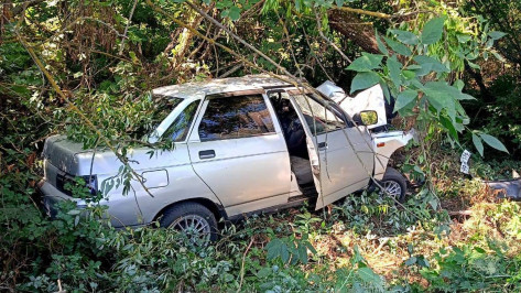 В Воронежской области 25-летний водитель «Лады» погиб, врезавшись в дерево