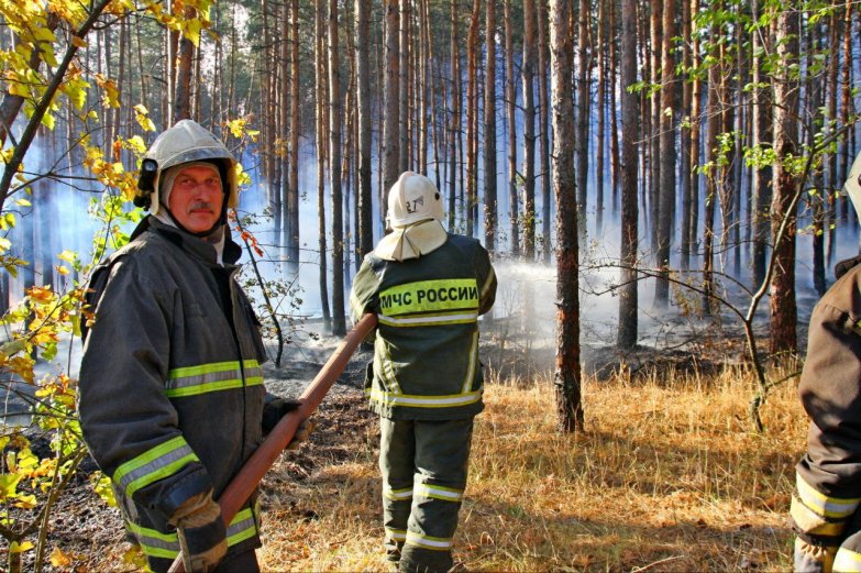 Пожар в хуторе Калач Лискинского района