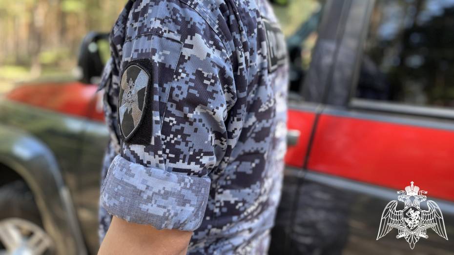 За прошедшую неделю воронежские росгвардейцы выезжали по сигналу «тревога» больше 250 раз