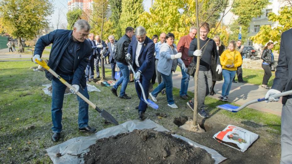 Губернатор и мэр посадили деревья в Комсомольском сквере Воронежа