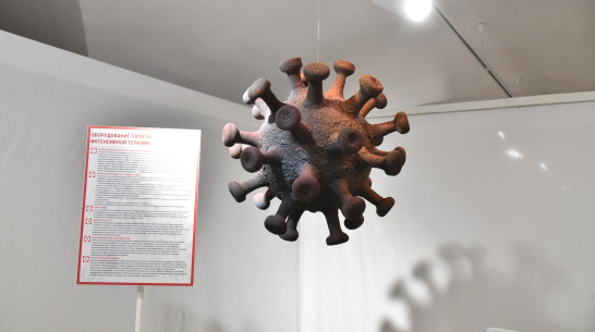 В Воронежской области отменили введенный из-за ковида режим повышенной готовности