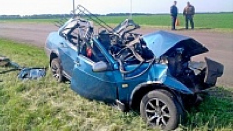 В Воронежской области за семь месяцев 113 водителей скрылись с места ДТП 