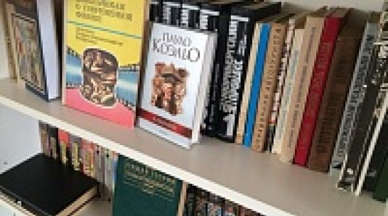 Воронежская область получит более 2,5 млн рублей из федбюджета на развитие музеев и библиотек 