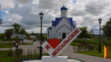 «Надежда» надеется на себя. Воронежские общественники объединились в ТОС, и жизнь в их селе стала светлее